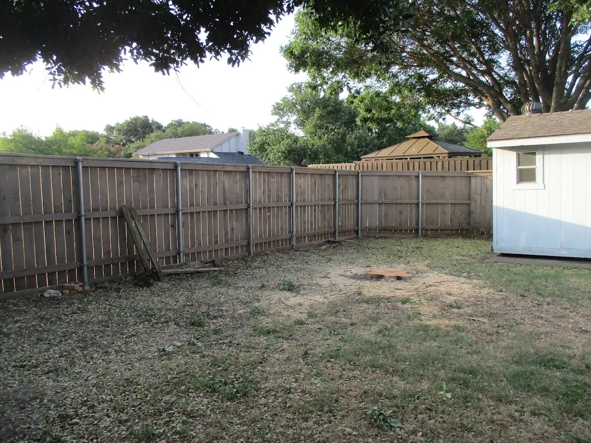 Cleared yard after professional tree removal in South Canaan